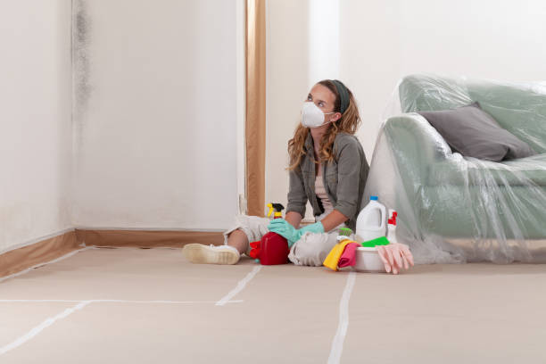 Reliable Mold Removal contractor in Danvers, IL by Mold Remediation HQ